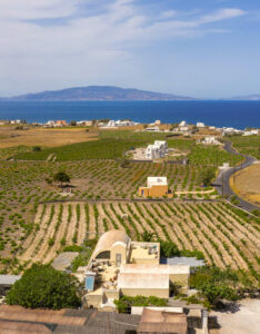 Sigalas Santorini Wine Estate